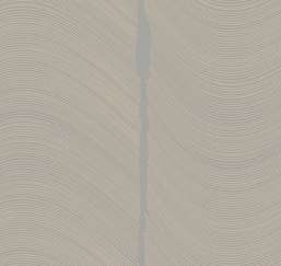  Loymina Equilibre BR4 006/1