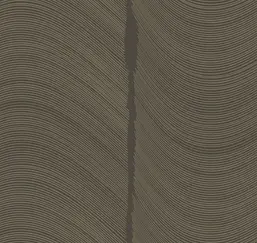  Loymina Equilibre BR4 011