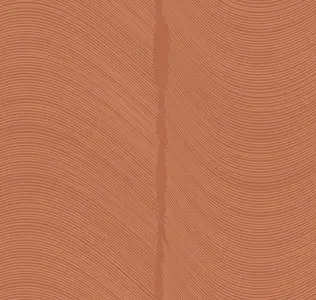 Loymina Equilibre BR4 012/1 -  1