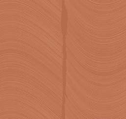  Loymina Equilibre BR4 012/1