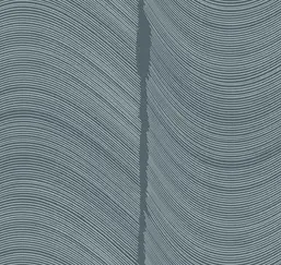  Loymina Equilibre BR4 021