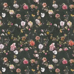  Loymina Etude vol. II ETD16-005-1