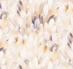  Loymina Etude ETD5-003
