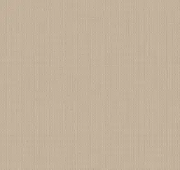  Loymina Gallery Classic GC5 002/1