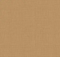  Loymina Gallery Classic GC5 004