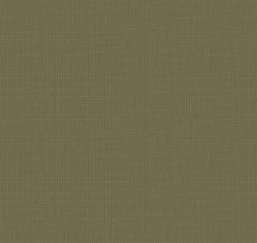  Loymina Gallery Classic GC5 005/1
