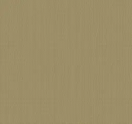  Loymina Gallery Classic GC5 005/2
