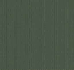  Loymina Gallery Classic GC5 005