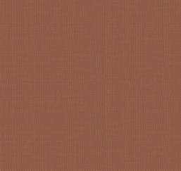  Loymina Gallery Classic GC5 007