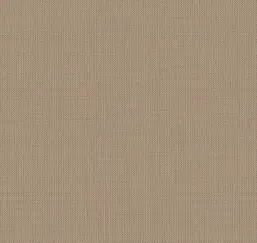  Loymina Gallery Classic GC5 012