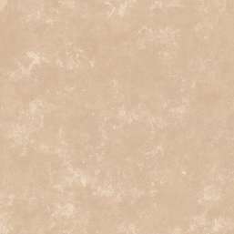  Loymina Golden Library TD7-002