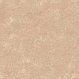  Loymina Golden Library TD7-002-1