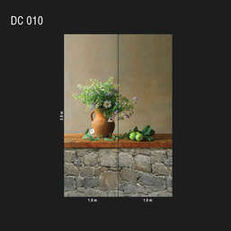  Loymina Illusion DC 010