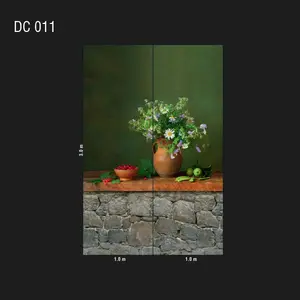  Loymina Illusion DC 011 -  1