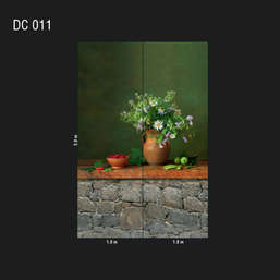  Loymina Illusion DC 011