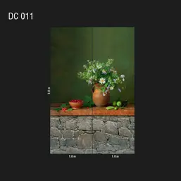  Loymina Illusion DC 011