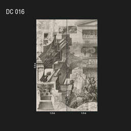  Loymina Illusion DC 016