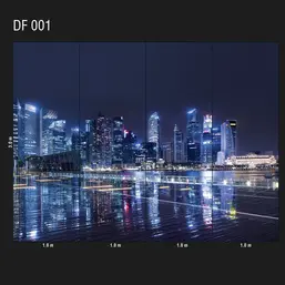  Loymina Illusion DF 001