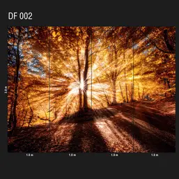  Loymina Illusion DF 002