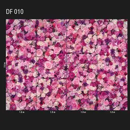  Loymina Illusion DF 010