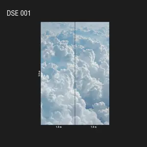  Loymina Illusion DSE 001 -  1