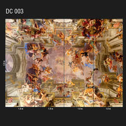  Loymina Illusion DC 003