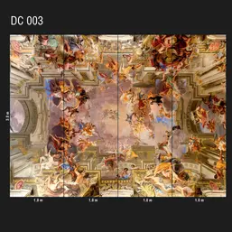  Loymina Illusion DC 003