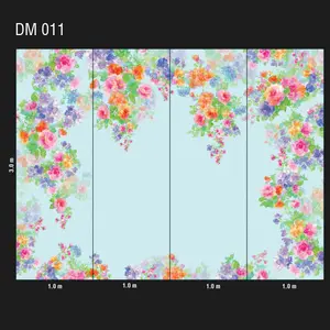  Loymina Illusion DM 011 -  1