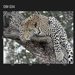  Loymina Illusion DM 034