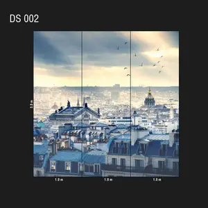  Loymina Illusion DS 002 -  1