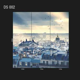  Loymina Illusion DS 002