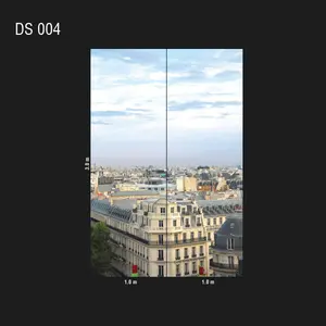  Loymina Illusion DS 004 -  1