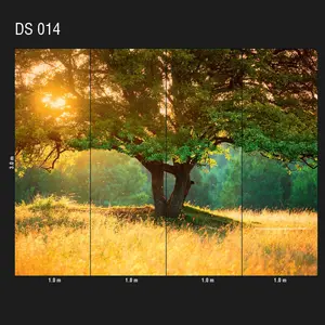  Loymina Illusion DS 014 -  1