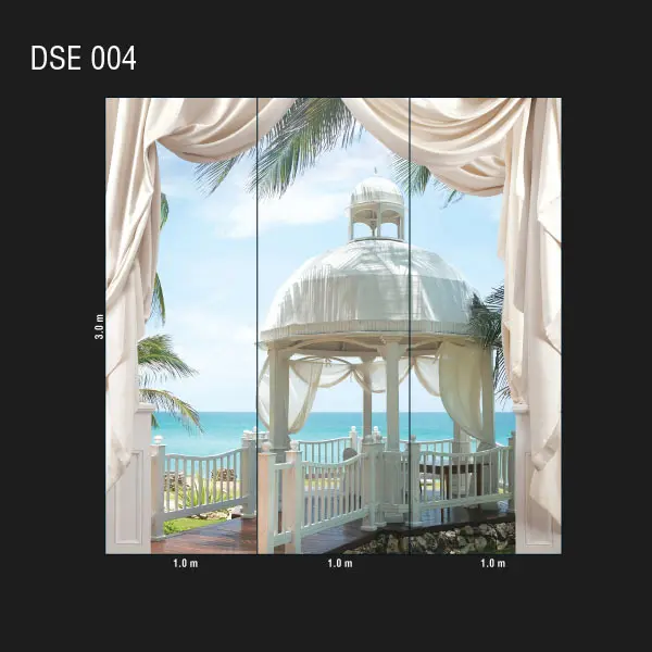  Loymina Illusion DSE 004 -  1