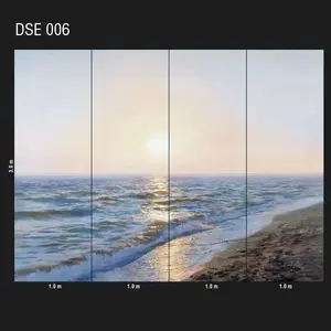  Loymina Illusion DSE 006 -  1