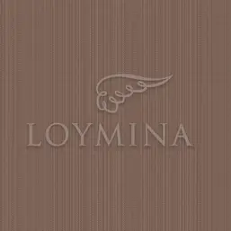  Loymina Jetset JET2 004