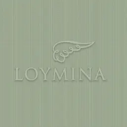  Loymina Jetset JET2 005
