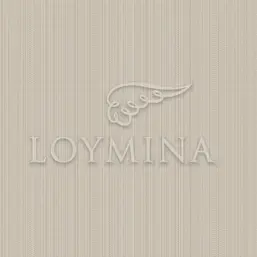  Loymina Jetset JET2 008/1