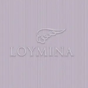  Loymina Jetset JET2 008 -  1