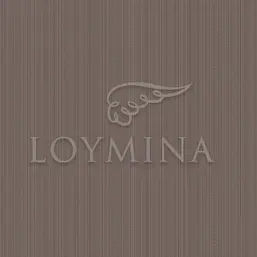  Loymina Jetset JET2 009/1