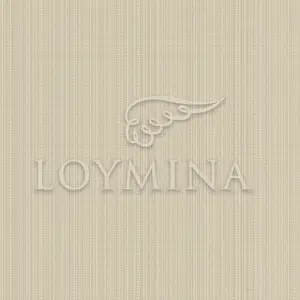  Loymina Jetset JET2 012/1 -  1