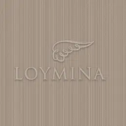  Loymina Jetset JET2 012