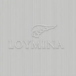  Loymina Jetset JET2 013 -  1
