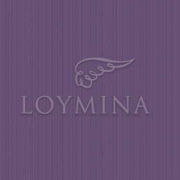  Loymina Jetset JET2 022