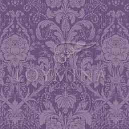  Loymina Jetset JET3 022