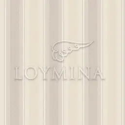  Loymina Jetset JET4 002