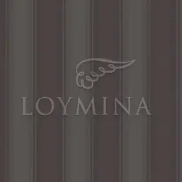  Loymina Jetset JET4 009