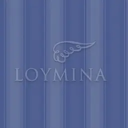  Loymina Jetset JET4 018