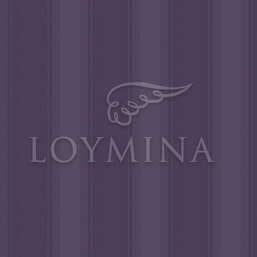  Loymina Jetset JET4 022