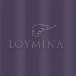  Loymina Jetset JET4 022